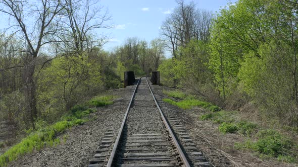 Railroad tracks run through foliage covered pathway alt