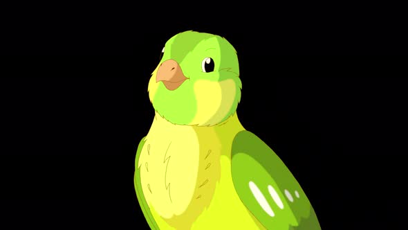 Singing Green canary close-up alpha matte 4K