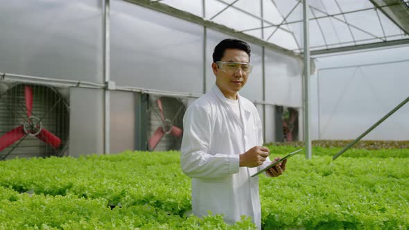 Asian male scientists work to check the results of an organic vegetable experiment in a hydroponic