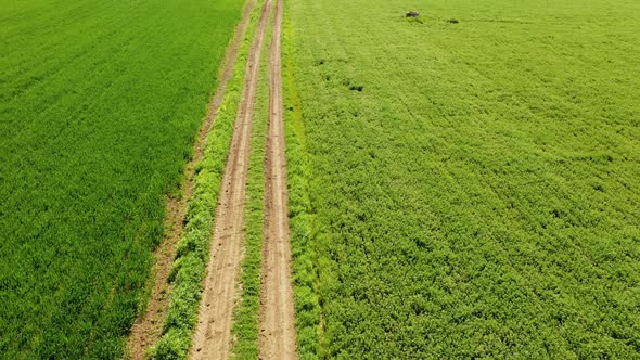 Aerial View of Road Through Field