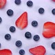 Rotation Background of Blueberries Strawberries on a White Background  the Concept of a Healthy Diet - VideoHive Item for Sale