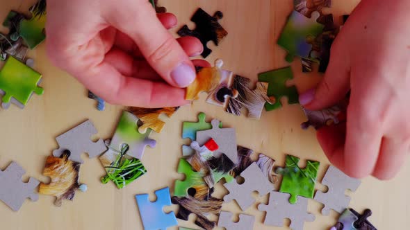 Family Leisure Time alt