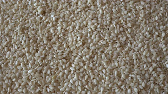 Sesame Rotation Background alt