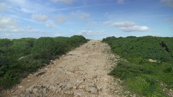 Empty Rocky Path Leading Through Small Green Bushes on Gozo Island in Winter alt