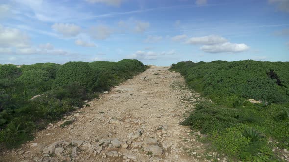 Empty Rocky Path Leading Through Small Green Bushes on Gozo Island in Winter
