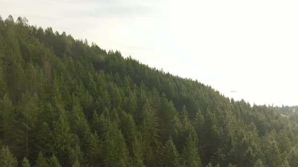Aerial panoramic view of Sea to Sky Highway near Horseshoe Bay during a sunny winter evening before alt