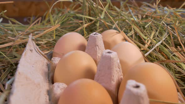 Chicken Eggs Close-up in a Tray. Collect Eggs with Your Hands on a Home Chicken Farm