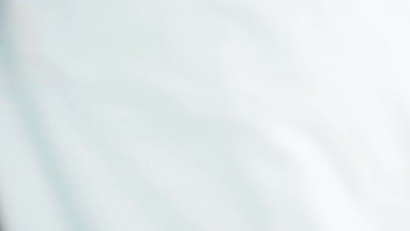 Smiling Business Woman Having an Important Conversation on Her Phone alt