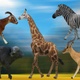 5 Animals Walking Pack - VideoHive Item for Sale