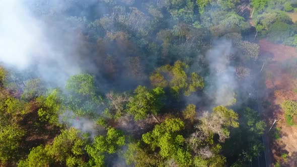 Aerial view around a wildfire, smoking trees near a road and houses, in tropical forests of Africa - alt