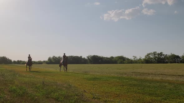 Jog Trot Ride in the Countryside, Stock Footage | VideoHive