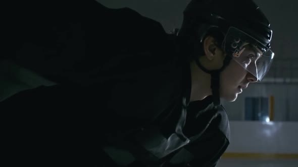 Professional Hockey Player alt