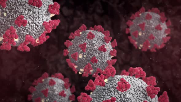 Animated Shot of Coronavirus Virons in the Human Body as Seen Through a Microscope