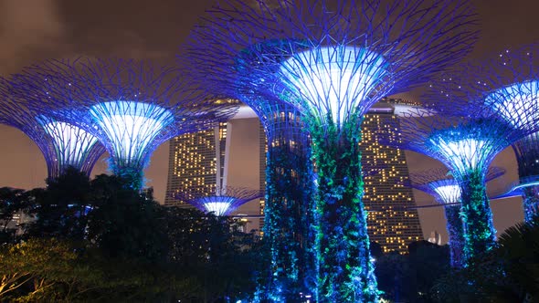 Singapore Supertree Grove Night Cloudy Time-lapse alt