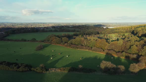 Drone shot of countryside and forest wood in autumn at sunset
