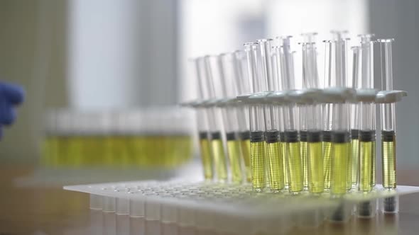 A Woman's Hand in a Rubber Glove Puts a Syringe with the Drug on the Stand alt