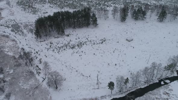 Aerial view of winter river near the forest. In the far village. Mainly cloudy 03 alt
