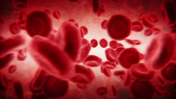 Red blood cells in an artery. Dark. 2 videos in 1 file. Red blood cells. alt