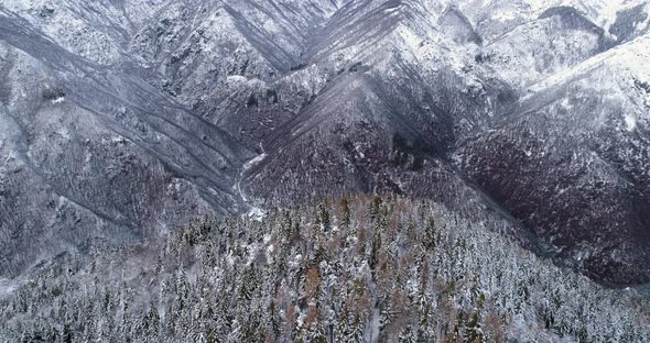 Forward Aerial Over Alpine Mountain Valley Pine Forest Woods Covered in Snow in Overcast Winter