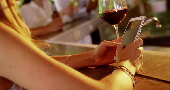 Woman using mobile phone in restaurant alt