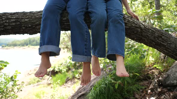 Two girls swing their feet on a big branch alt