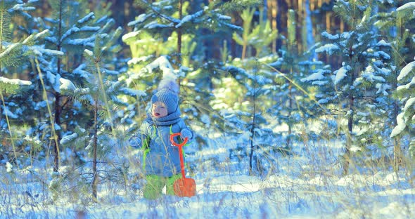 Kid Shakes Off the Snow From the Tree. Kid Holding a Spade. Winter Day alt