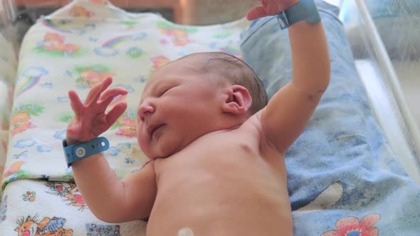 A newborn baby raises his hands up in the crib of the maternity hospital, Moro reflex