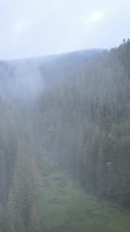 Vertical Video of Fog in the Mountains alt