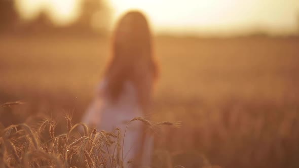 Beautiful Young Woman Enjoys Life Whirls on a Wheat Field at Sunset