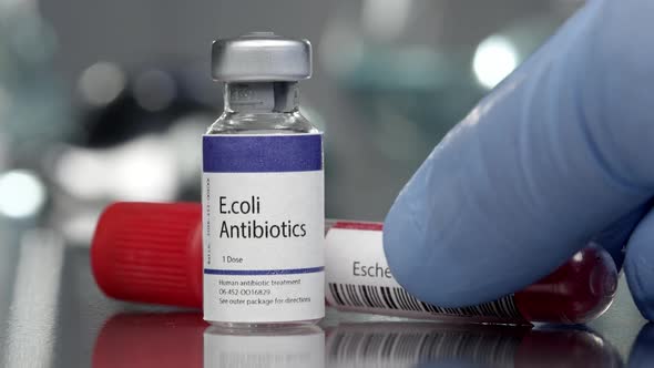 E.coli antibiotics and antibodies in medical lab alt