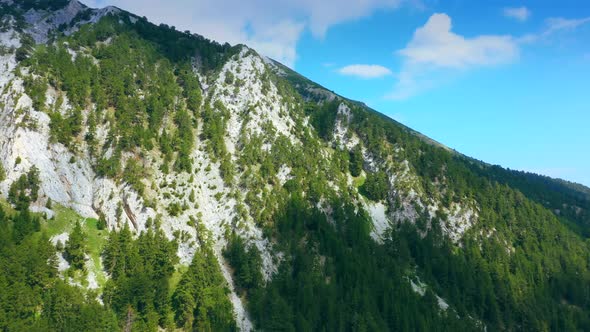 Aerial View Of Foggy Pine Forest And Mountain Valley alt