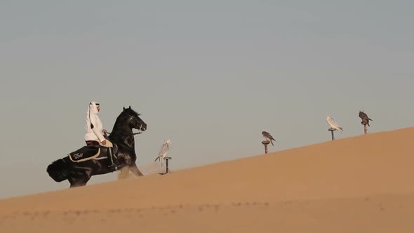 Arabian Horse Rider Riding on Desert in Dubai alt