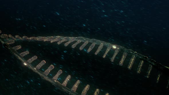 Isolated DNA Helix In A Macro Close-Up View