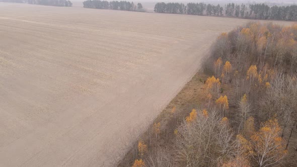 Land in a Plowed Field in Autumn alt