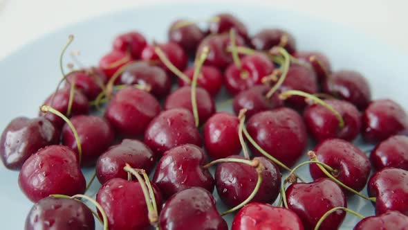 Slow Motion Shot of a Red Fresh Ripe Cherries on a Blue Plate