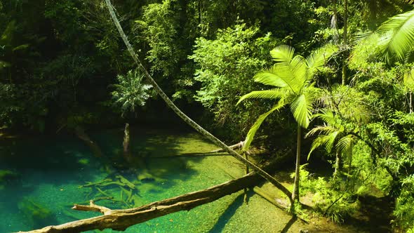 Aerial, A Hidden Paradise Lake In The Middle Of Rain Forest In Queensland, Australia