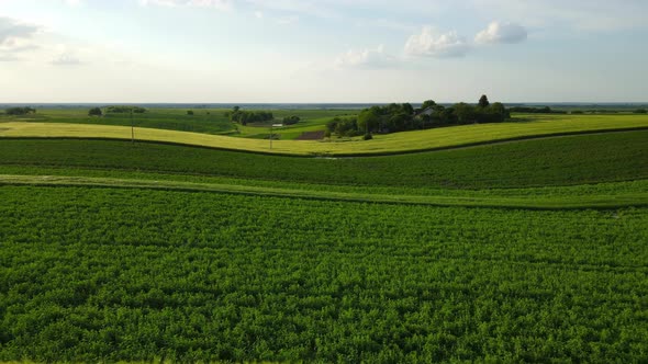 Aerial Shot Of The Countryside Over The Grain Fields Of Ukraine. Agriculture