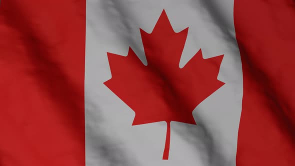 Canadian flag waving in the wind. alt