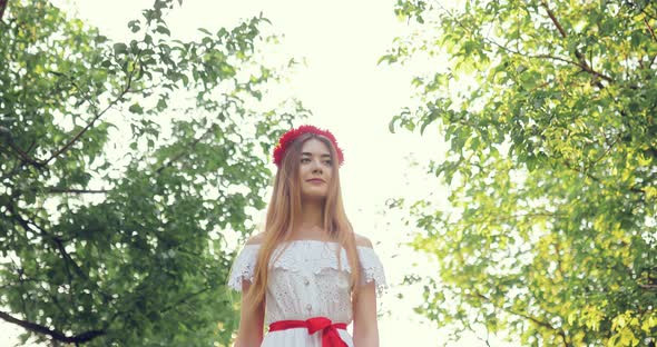 Blue Sky Between the Branches of Trees in the Forest alt