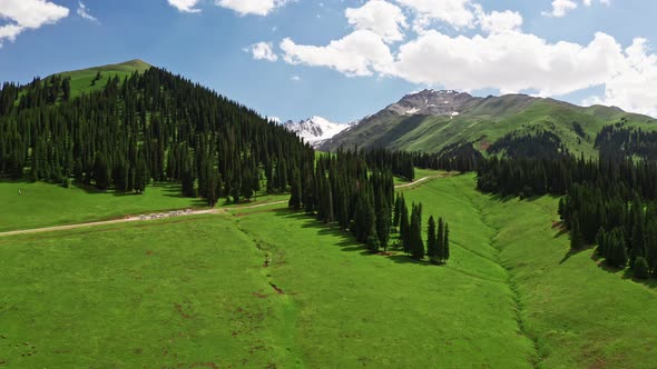 Nalati grassland and snowy mountains alt