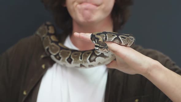 a Person Cannot Move When a Snake is Wrapped Around His Neck and Shoulders alt