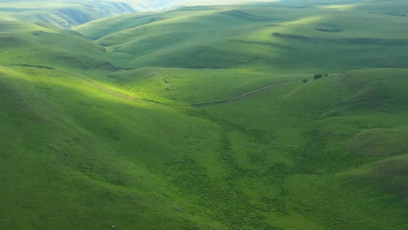 Aerial view on the beautiful summer landscape with  green hills
