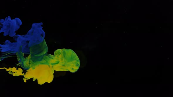 Stream of Blue and Yellow Green Paint Dissolves in a Transparent Space on a Black Background alt