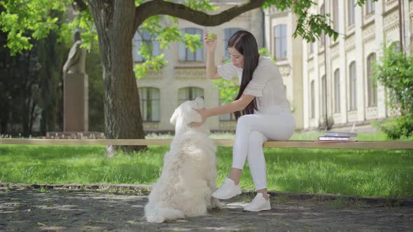 Happy Young Brunette Woman Stroking Head of White Dog and Talking. Portrait of Joyful Caucasian alt