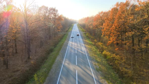 Aerial View of Intercity Road with Fast Driving Cars Between Autumn Forest Trees at Sunset alt