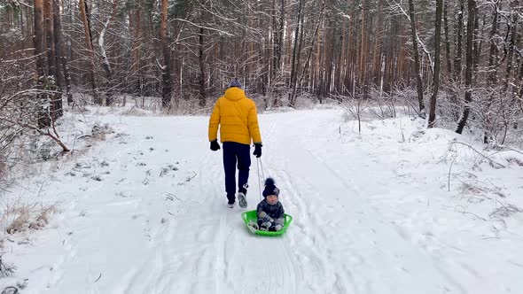 a Father Takes a Child on a Sled in a Snowy Forest alt