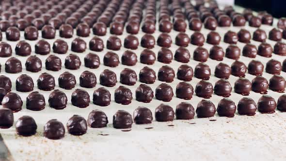 Lots of Chocolate Candies Are Getting Transported in the Factory alt