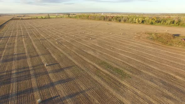 Beautiful flat farmland seen from the air. Golden field of harvested grain and large round bales of alt