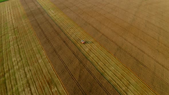 Aerial view of Truck with grain driving in agricultural wheat field. Machinery harvesting, rural