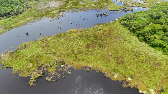 Aerial View of Tropical Rain Forest, Jungle in Brazil alt